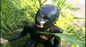 Masked in a meadow