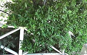 Petite Little Taylor in outdoor solo