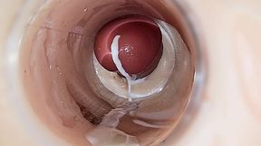 Cremapied her pussy, view from inside