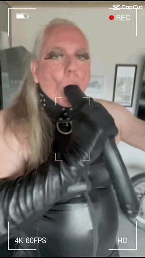 Sandra the stupid faggot