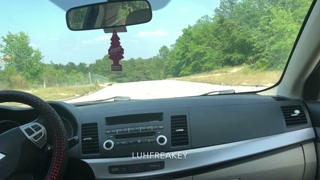 Risky Teen Car Jack