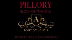 PlLLORY BLOW JOB  TRAINING  Total lenghts 12:19 minutes  Sklave - Dildo - Slave - Latex - Lack - Pranger