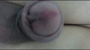 Stive Brown Private Show