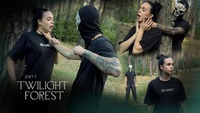 Twilight Forest (Part 1)