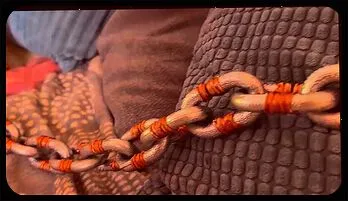 Leia's Galactic Slavery: Sweetie Fox's Star Wars Fantasy