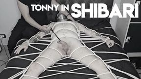 Tonny in Shibari by Brenno Furrier (720p) Gay Bondage - Gay Domination - Male Bindage - Foot Fetish - BDSM