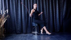 Dominant Elegance (HDTVWMV) – Lady Kat