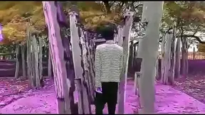 Saads Steamy Hentai Fantasy: Three Beauties Tempt in Wild Tryst