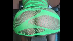 Mexicana megaculona (f&oacute_sfo)