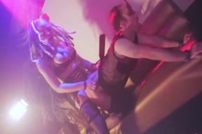 Predominant tranny plows