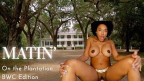 Matin' On The Plantation BWC, CEI, Breeding