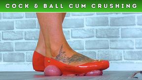 Crushing The Cum From Your Balls Under PlexiGlass & My Red Vivienne Westwood Ballet Flats (256) - Crush Cam - Trample Trampling CBT Ballbusting Hard Shoe Shoejob Femdom