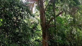 I Hide Behind a Tree and Watched the Bath