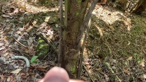 I Hide Behind a Tree and Watched the Bath