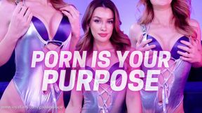 PORN IS YOUR PURPOSE - The Ultimate Head Fuck - Gooning Programming