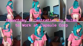 Penectomy & Castration by Bulma to Work at Capsule Corp SD