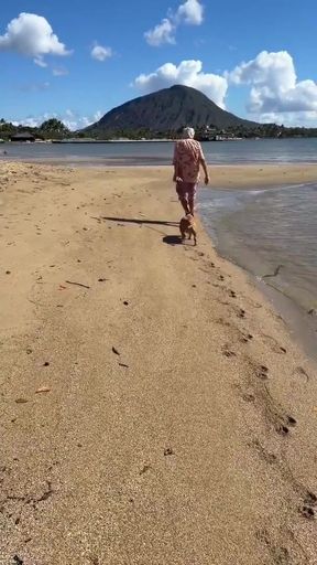 Paiko Fishpond, East Oahu, Hawaii   Clip 1