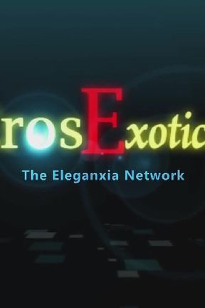 Eros Exotica HD: Anal KamaSutra. Part 14