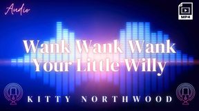 Wank Wank Wank Your Little Willy SPH JOI