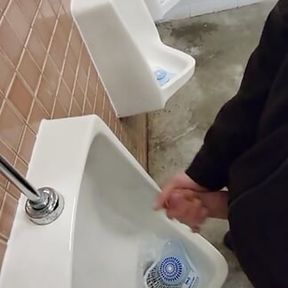 Real risky public solo show in busy vancouver park bathroom by johnholmesjunior with huge cum load