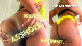 Perfect Asshole Payment 2 CENSORED PIXEL VERSION