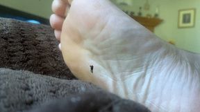 Giantess Special Effects - Playful Teenie Climbing all over Giantess MXDominions Giant Soles Giantess, Shrinking fetish, Foot Worship  4k