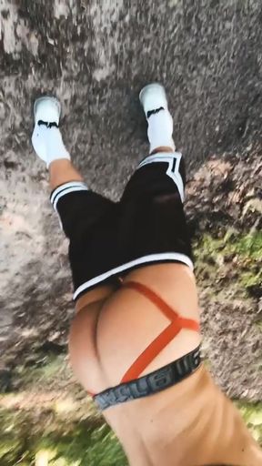 During the Bicycle Tour