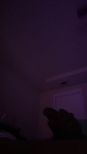 BUG COCK JERK OFF