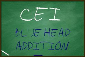 CEI for Really Gay Sissy