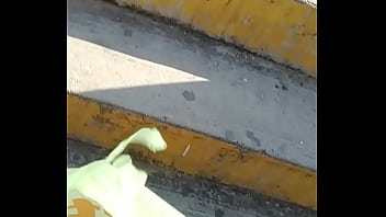 Par de zorritas