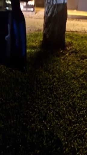 I love to piss a lot in public. Would you drink my pee?