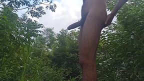 Too Beautiful Body Sync in Nature