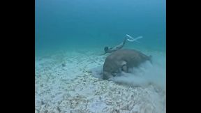 Creamberryfairy private life #3