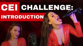 CEI Challenge: Introduction