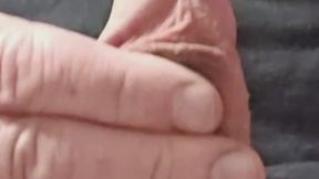 Circumcised cock . Soft to Hard to Cum