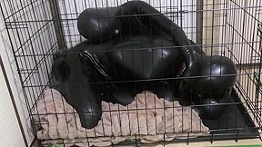 Trapped In Rubber Bitchsuit & Cage