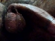COCK THROBBING, OOZING PRECUM, FINGERING