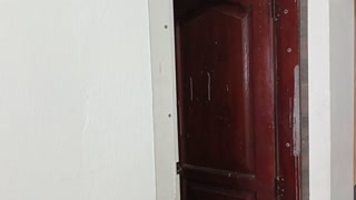 I met a stranger in the park and we went to have sex at the house.