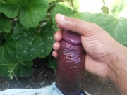 Daddy masturbate cock in the garden