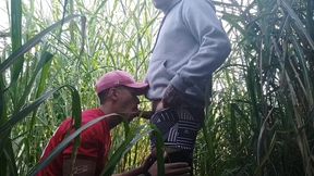 marquei com uns amigos de ir no bailao de favela e acabei liberando a bunda no mato pra geral comer