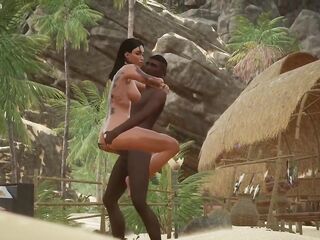 Wild Life Animation Collection, Part 11