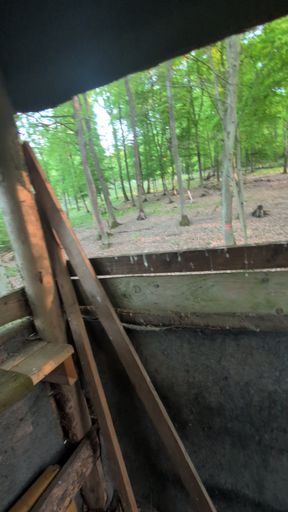 Cum in high seat while hiking