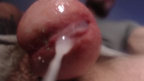 The Master Uses the You ( Subfag)