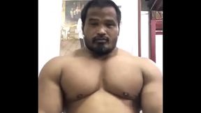 Massive thai bull [tags: muscle, bodybuilder, Asian, beefy, massive, thick, pecs, pec flexing, pec bouncing, chest, posing, flexing, hunk, muscular, off season]