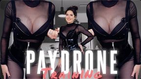 paydrone training