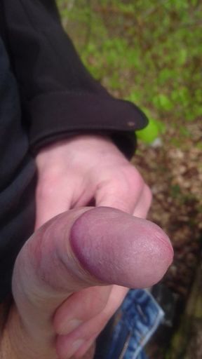 Getting hard in the woods