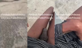 Houston TS Caught Gushing Uncut Cum Public Stroke Destroyed