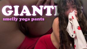 the dirty giantess sits on your face after training but forbids you to cum