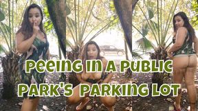 Peeing In Public Park's Parking Lot