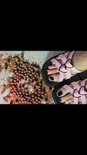 Topview/CRUSHING CocoPuffs wearing cute platform Sandals